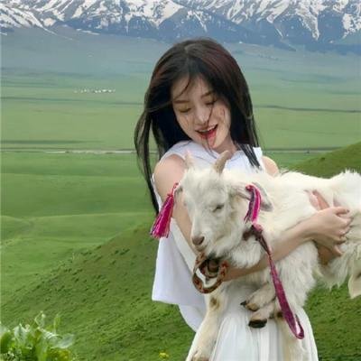 铁马战车粤语
